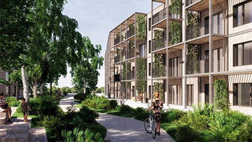 Dans le Cadre : Novembre 2024